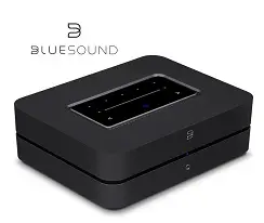 Bluesound logo